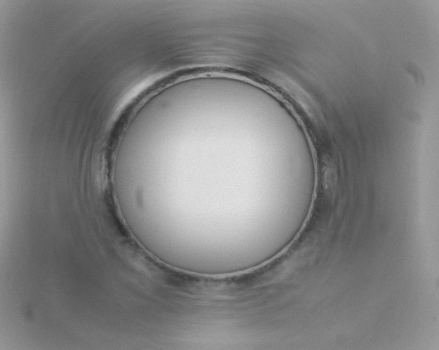 X0000115581069200911241508