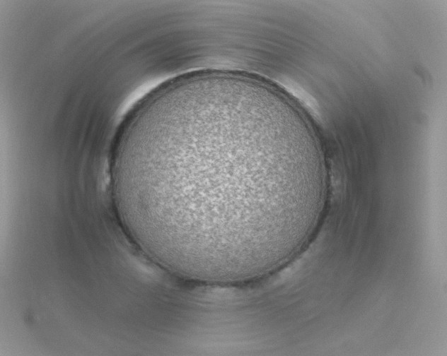 X0000115581070200911241508