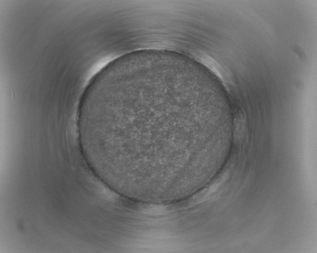 X0000115581071200911241508