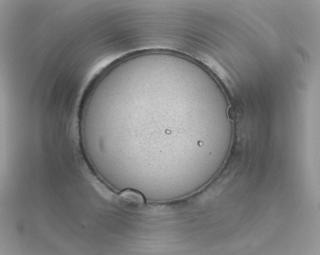 X0000115581072200911241508