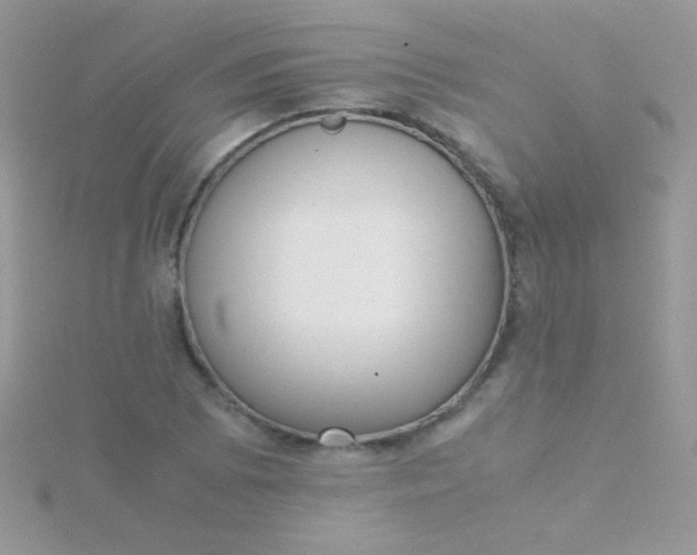 X0000115581073200911241508