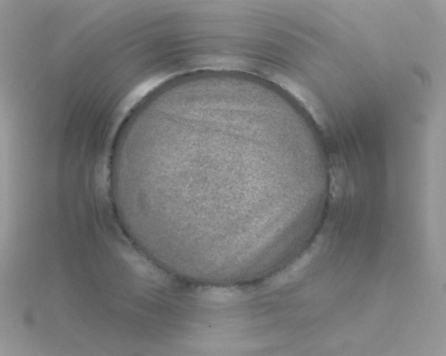 X0000115581074200911241508