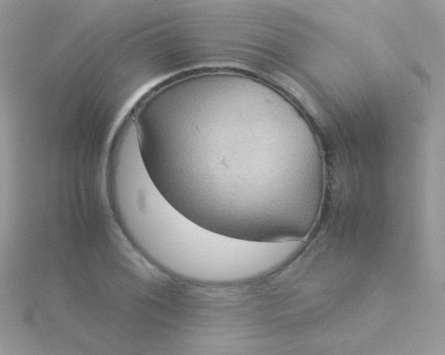 X0000115581076200911241508