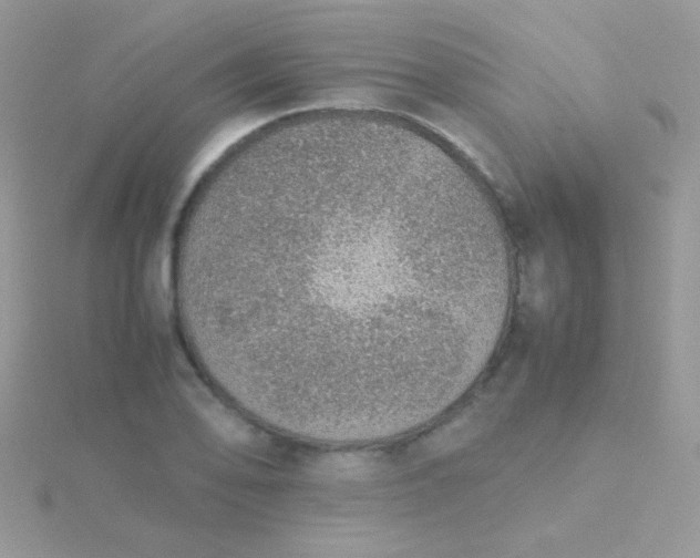 X0000115581078200911241508