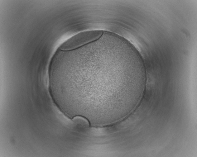 X0000115581080200911241508