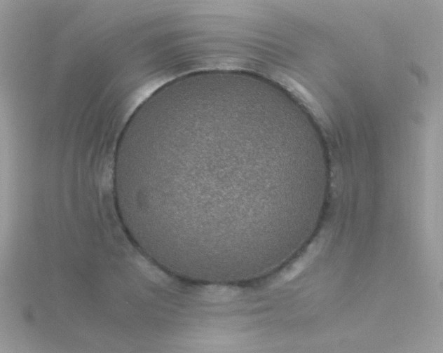 X0000115581081200911241508