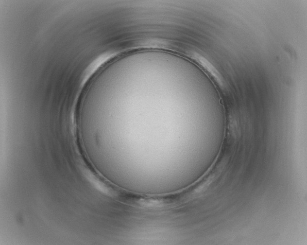 X0000115581082200911241508