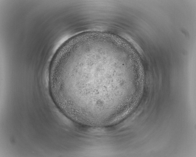 X0000115581083200911241508