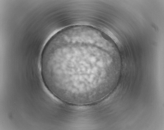 X0000115581084200911241508