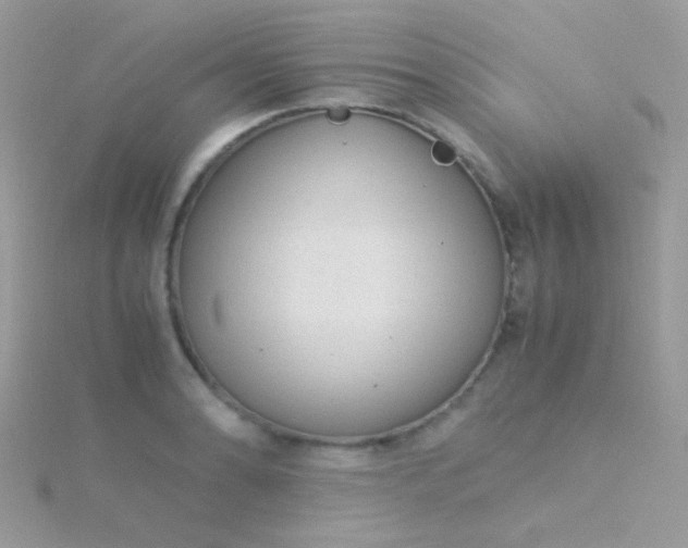 X0000115581086200911241507