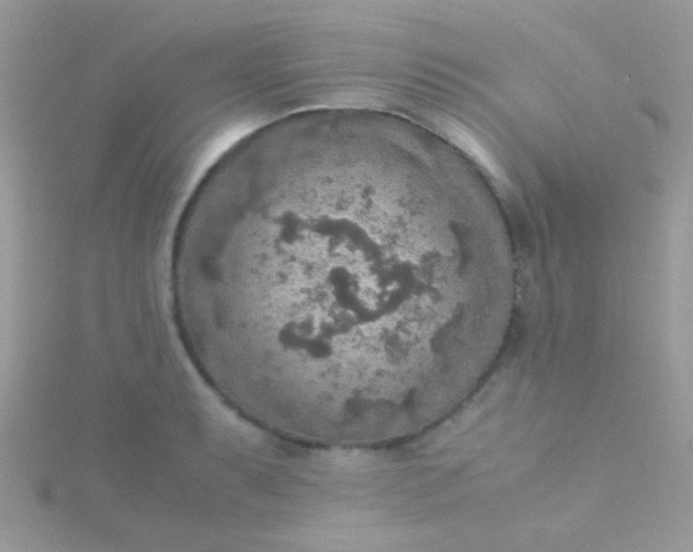 X0000115581087200911241507