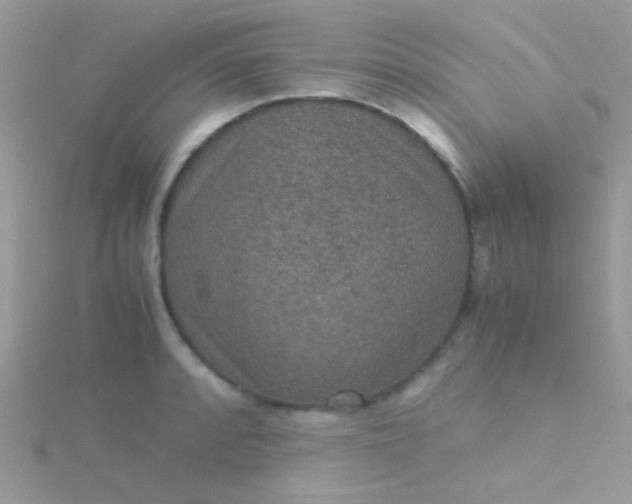 X0000115581088200911241507