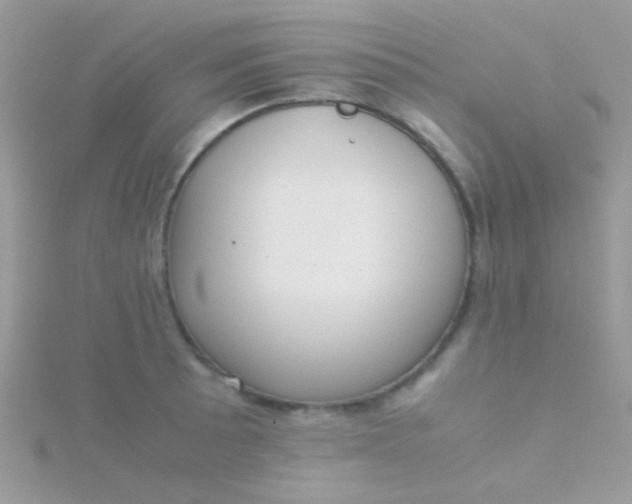 X0000115581089200911241507