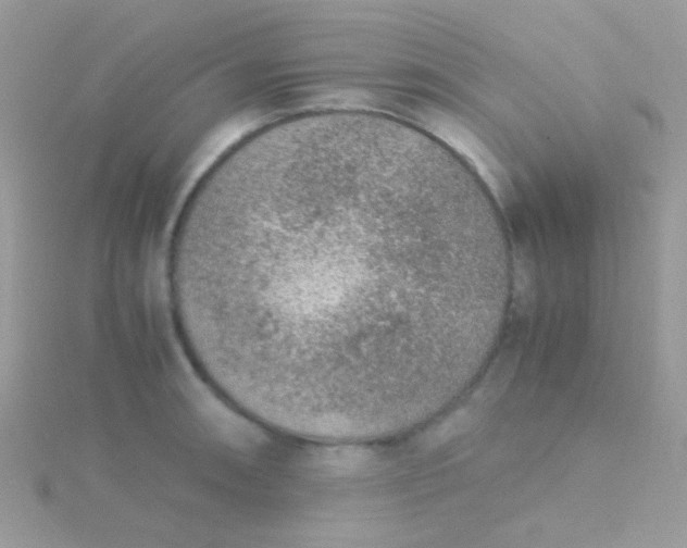 X0000115581090200911241507