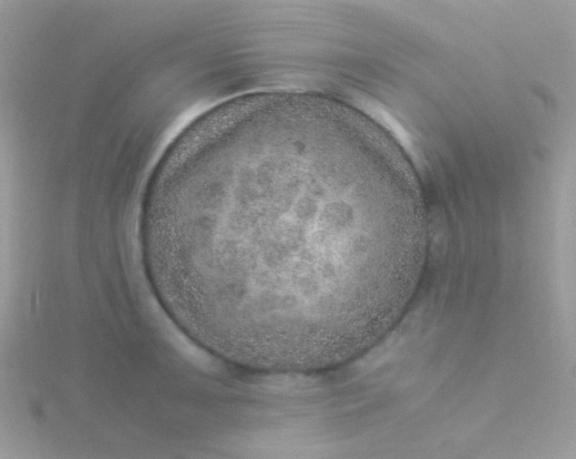 X0000115581091200911241507