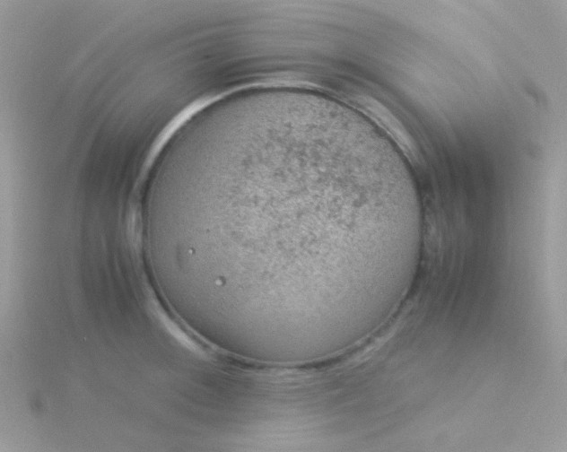 X0000115581092200911241507