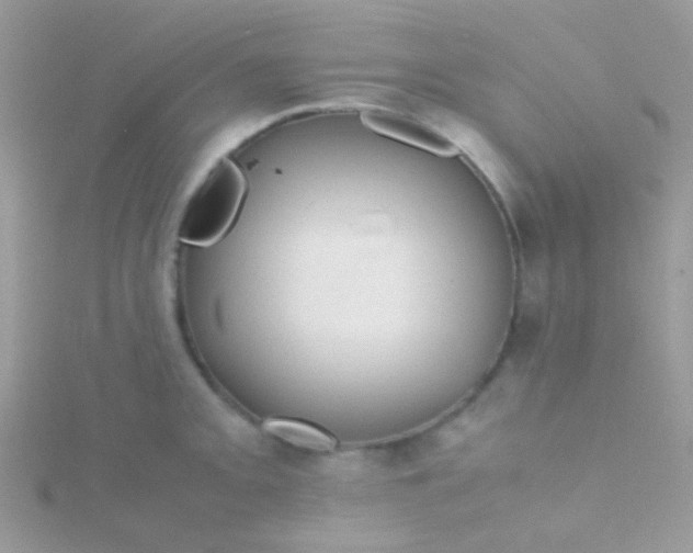 X0000115581093200911241507