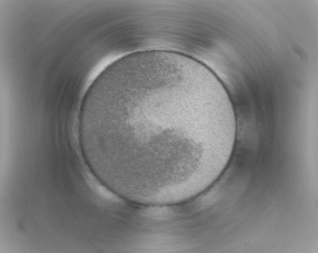 X0000115581094200911241507