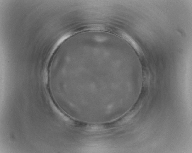 X0000115581095200911241507