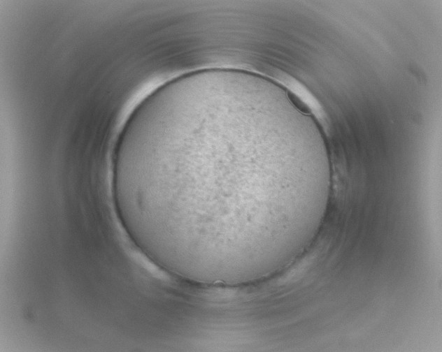 X0000115581096200911241507