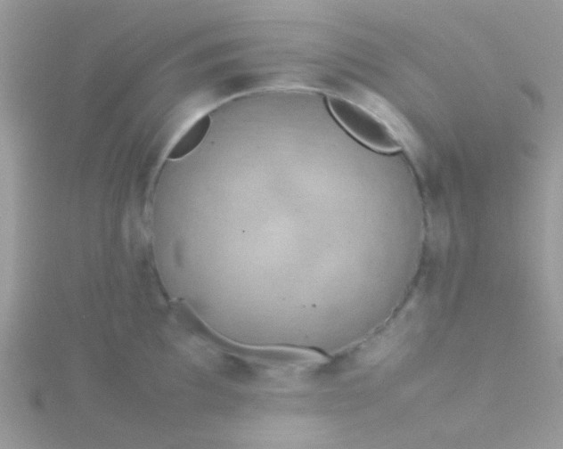 X0000115581097200911241507