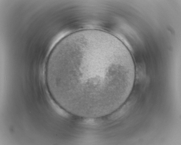 X0000115581098200911241507