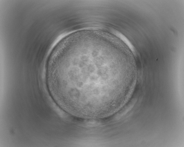 X0000115581099200911241507