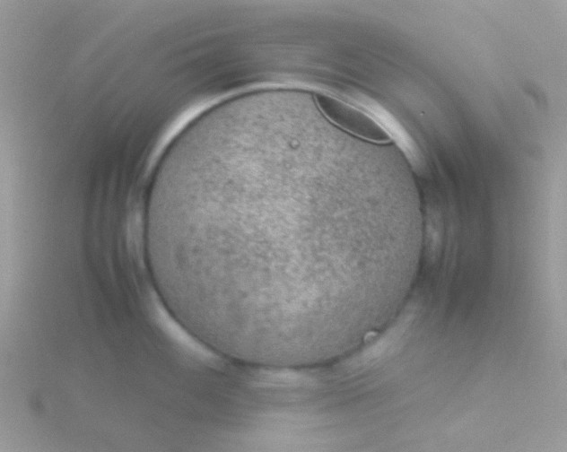 X0000115581100200911241507