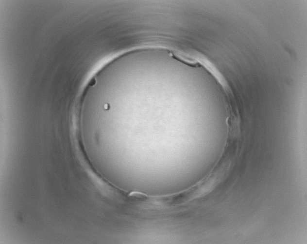 X0000115581101200911241507