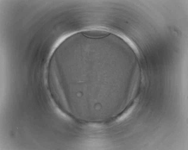 X0000115581102200911241507