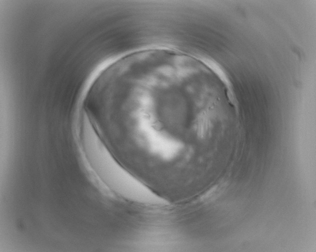 X0000115581104200911241507