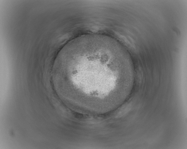 X0000115581105200911241506