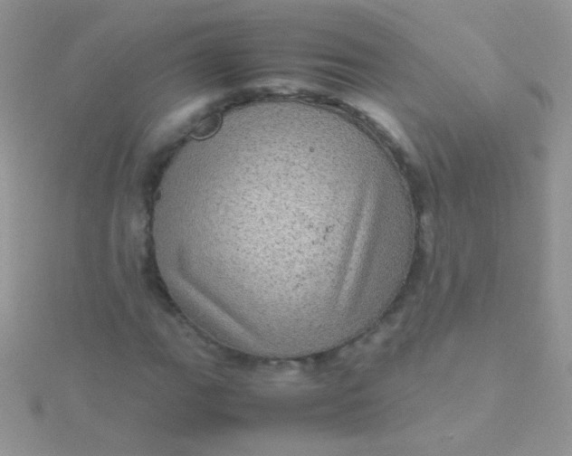 X0000115581111200911241507