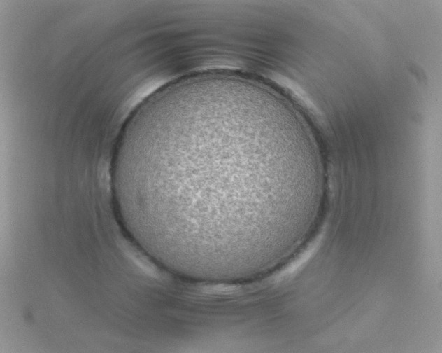 X0000115581113200911241507