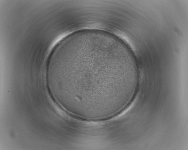 X0000115581114200911241507