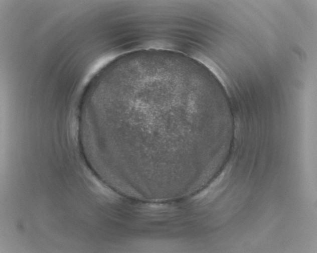 X0000115581115200911241507