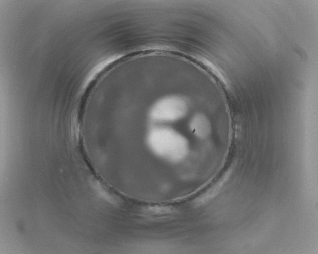 X0000115581117200911241507