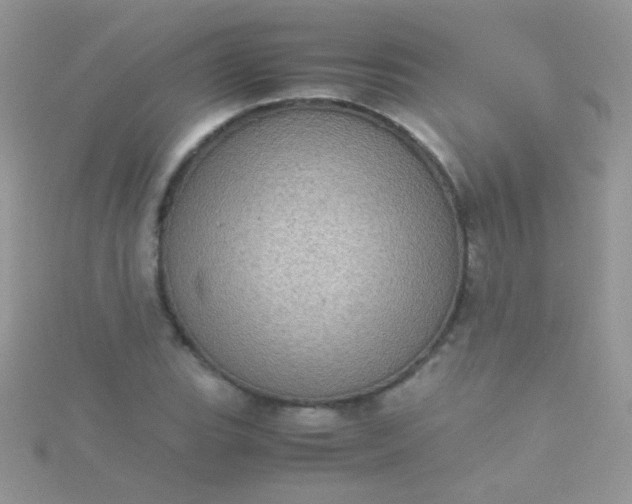 X0000115581119200911241507