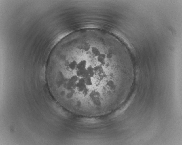 X0000115581121200911241507