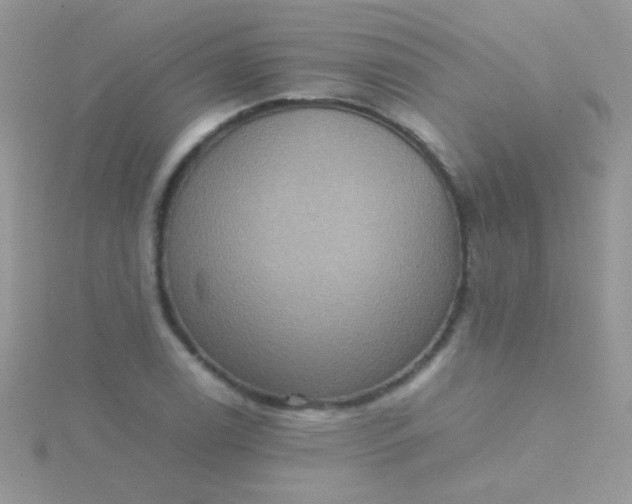 X0000115581122200911241507