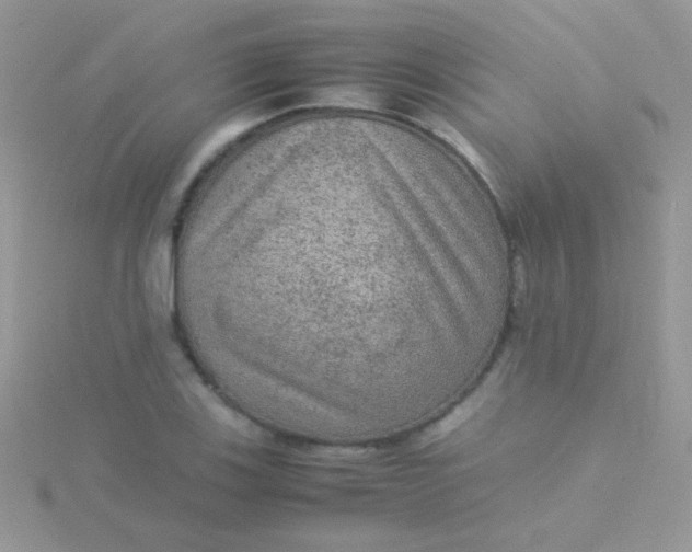 X0000115581123200911241507