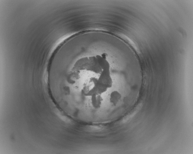 X0000115581125200911241507