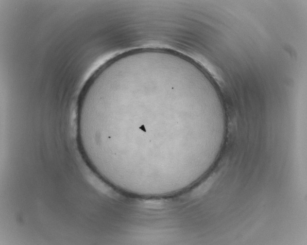 X0000115581126200911241507