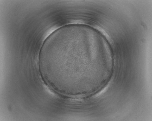 X0000115581129200911241507