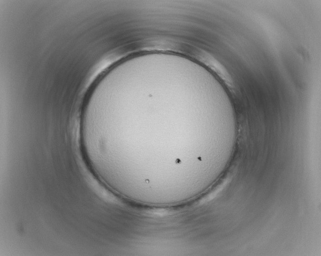 X0000115581130200911241507