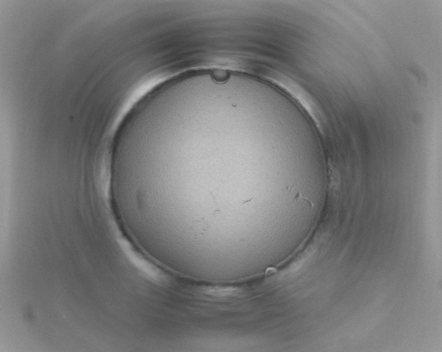 X0000115581131200911241507