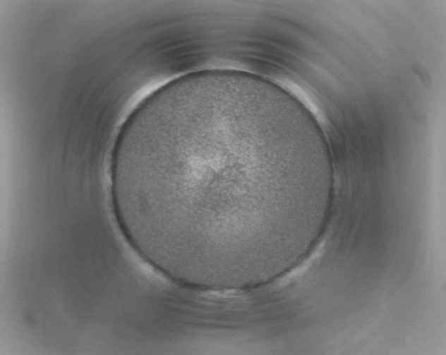 X0000115581133200911241507