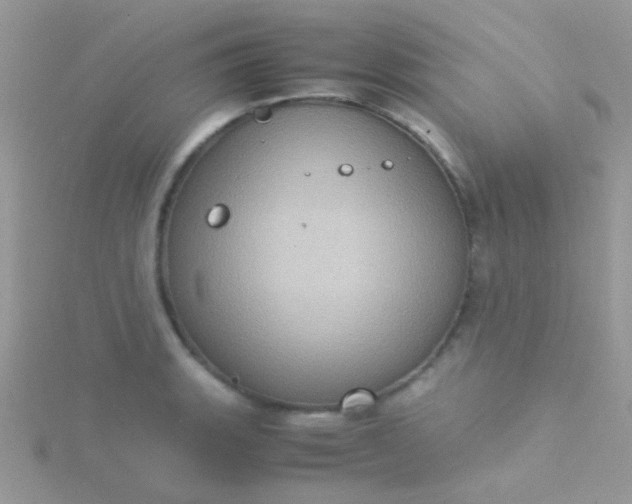 X0000115581135200911241507