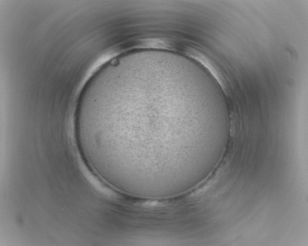 X0000115581139200911241507