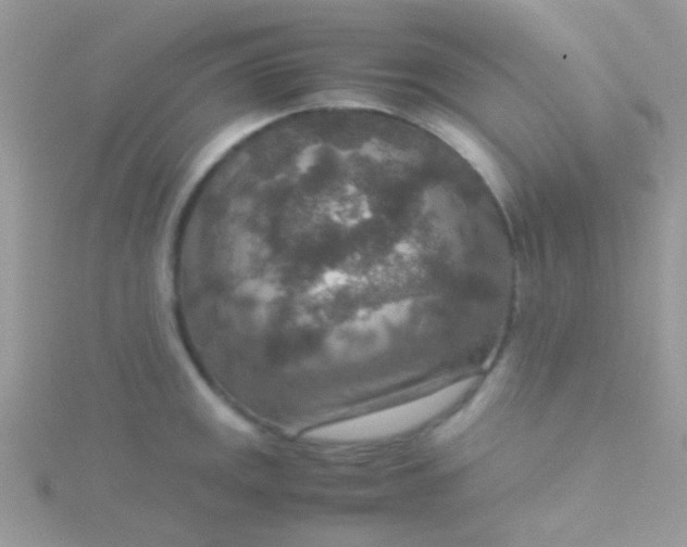 X0000115581141200911241507